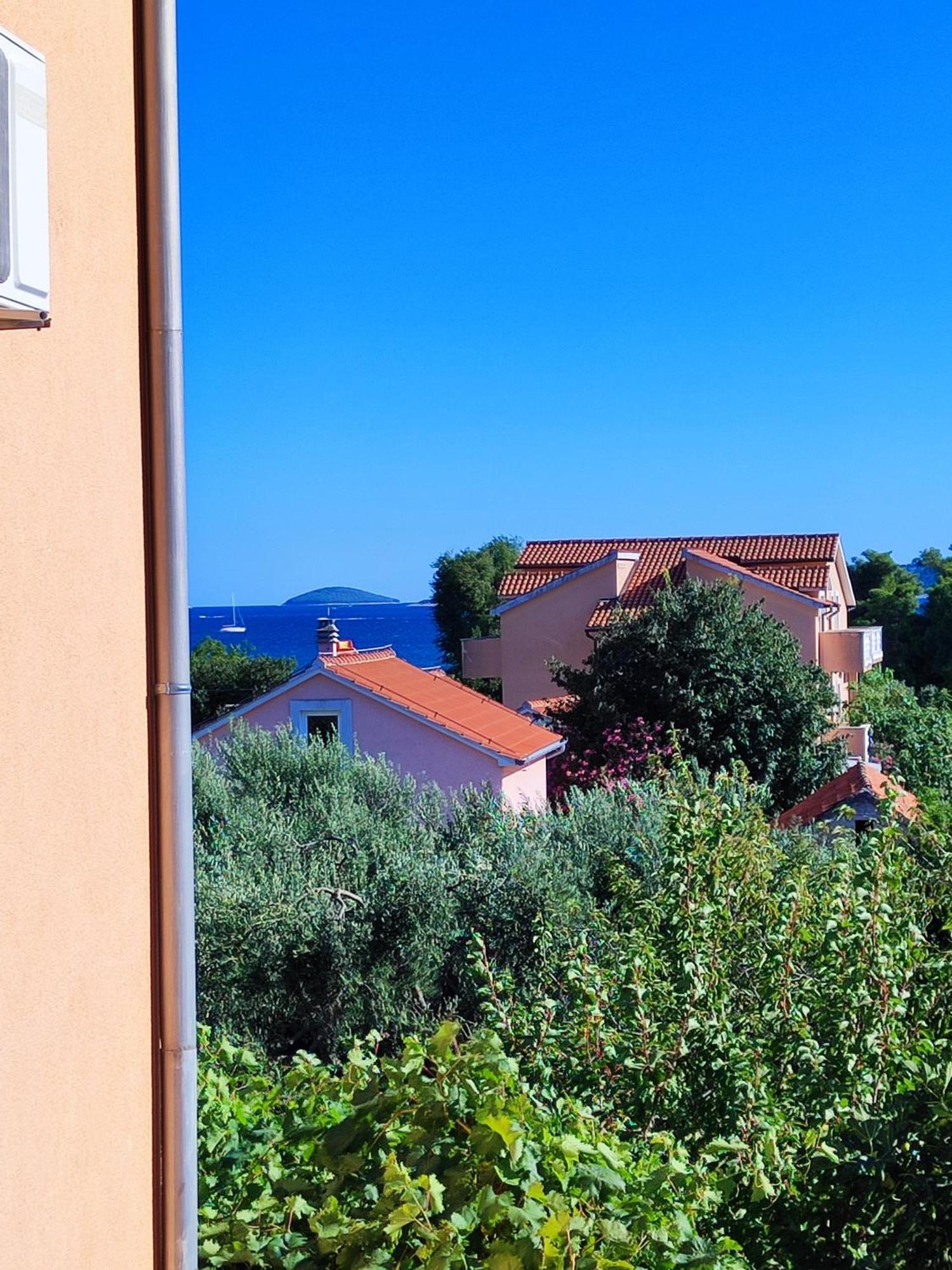 Apartmani Seka Vodice Zewnętrze zdjęcie