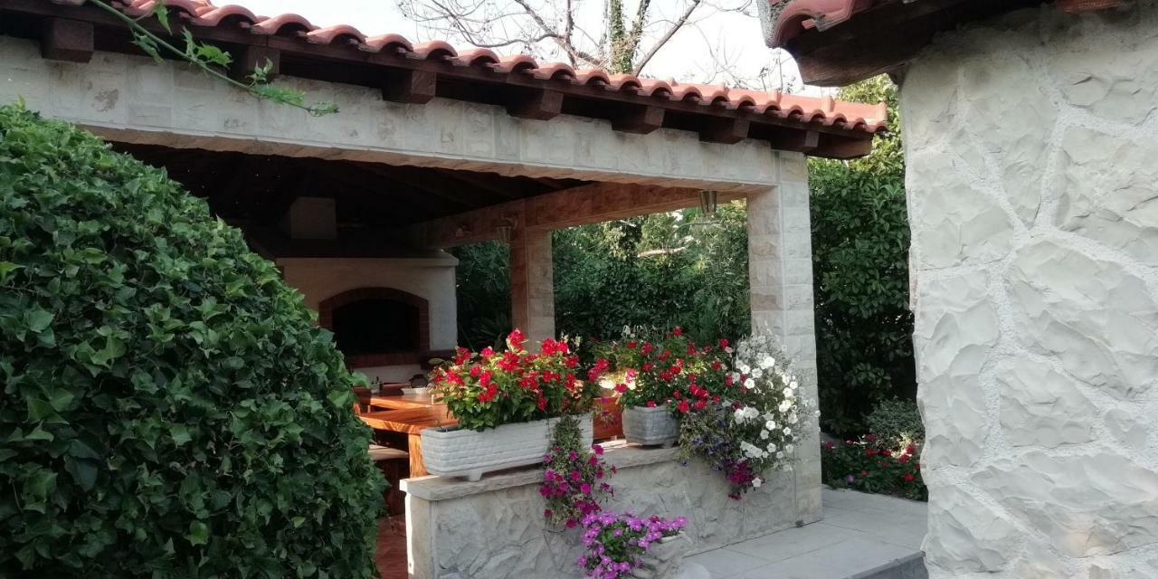 Apartmani Seka Vodice Zewnętrze zdjęcie