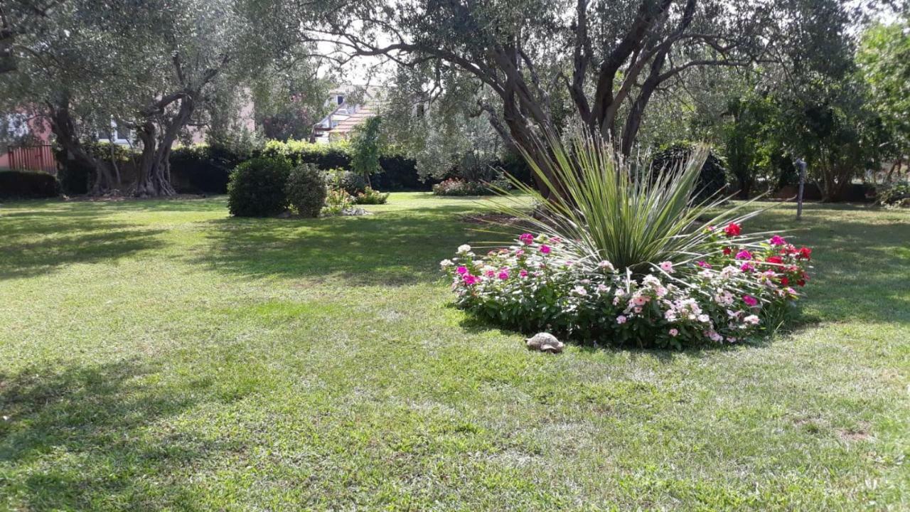 Apartmani Seka Vodice Zewnętrze zdjęcie